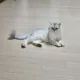 채경맘