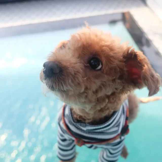 길뚱이네