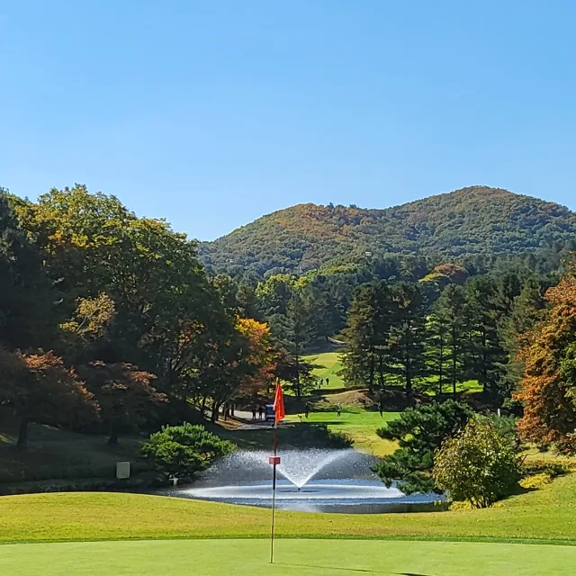 연근
