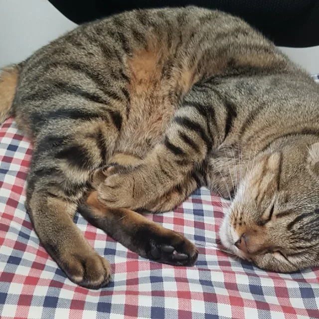 김건호