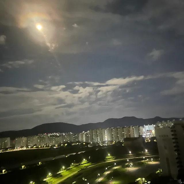 얼음사과