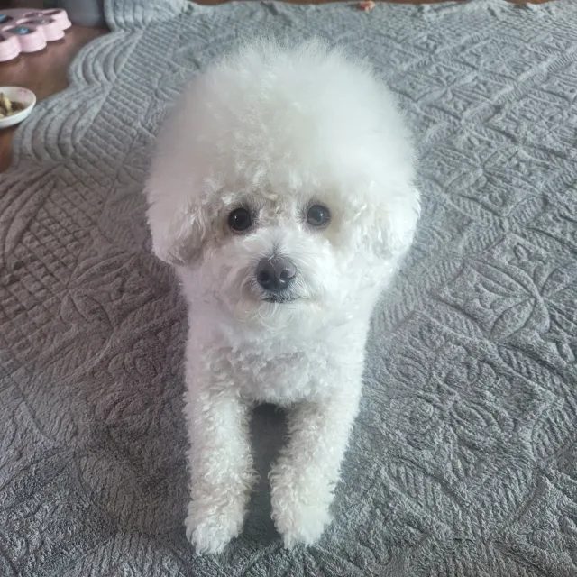 행복님