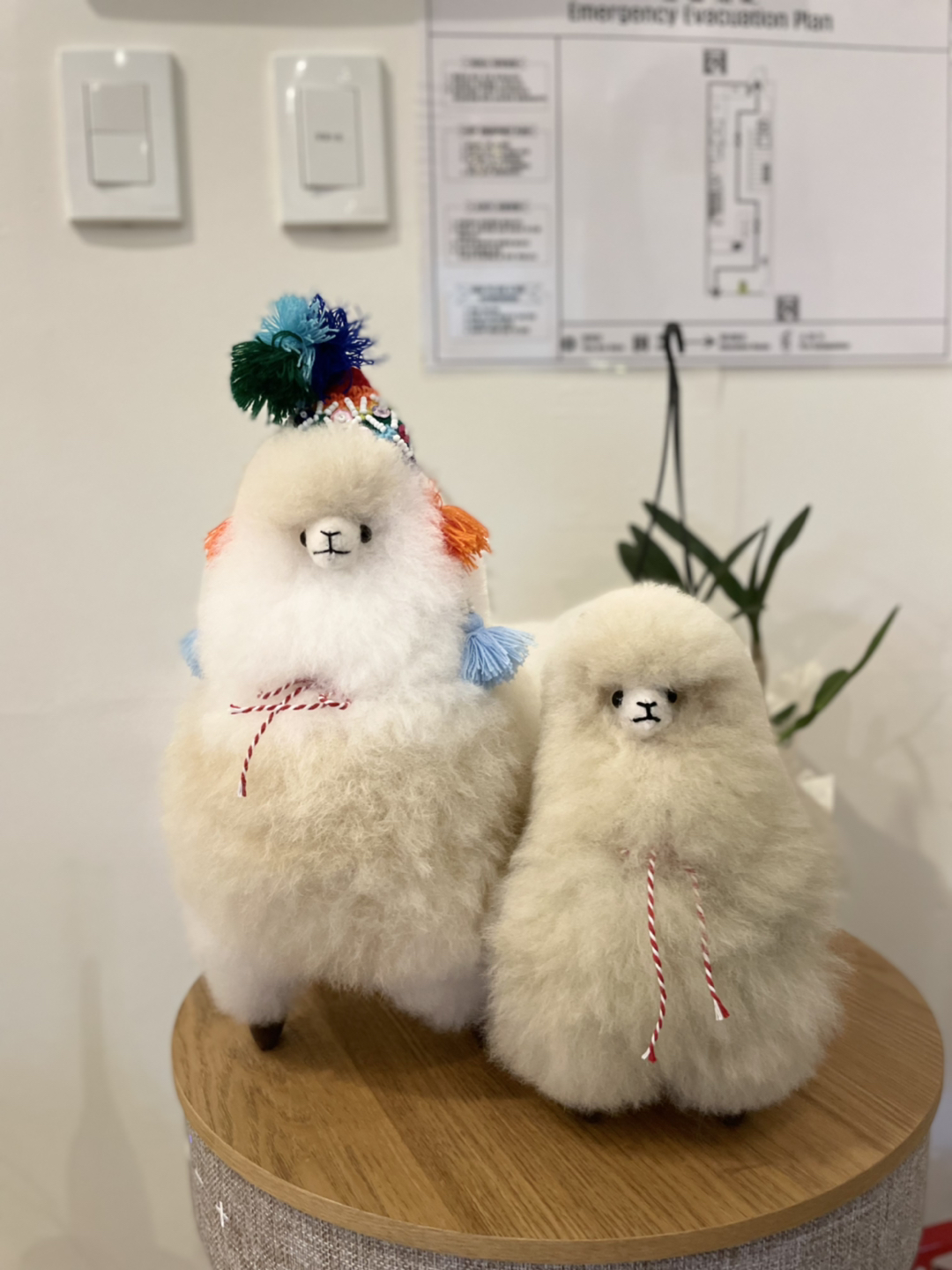 스댕리