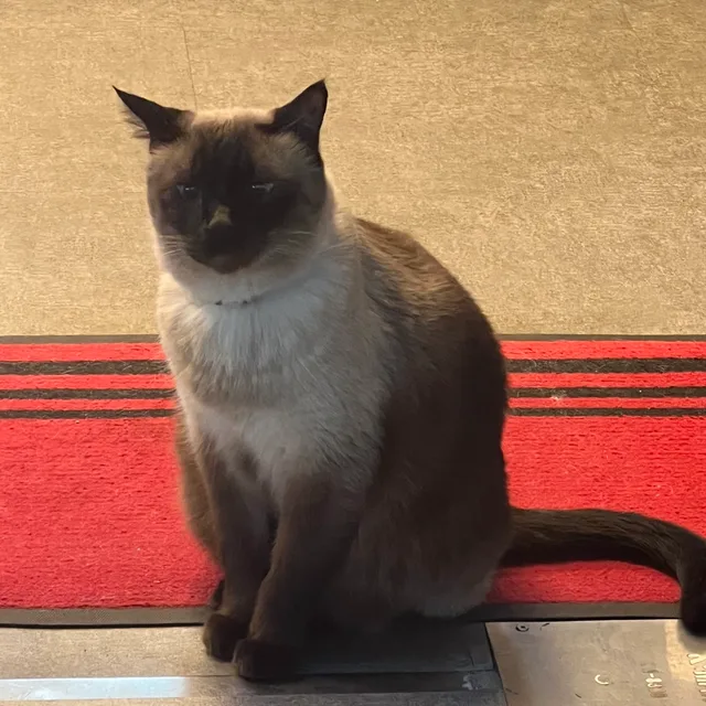 열심이