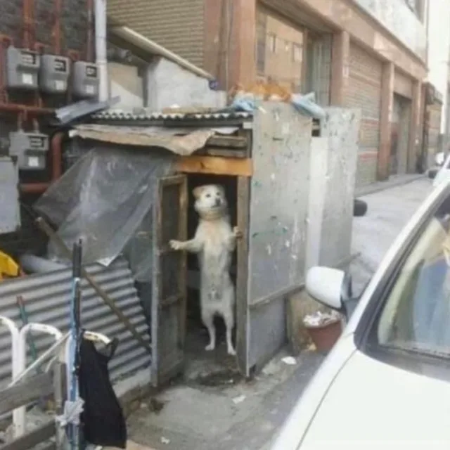 이춘식