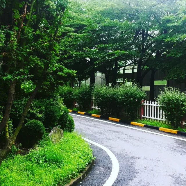 팀버