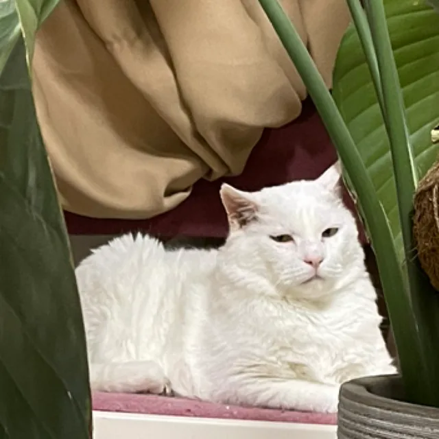 잘가