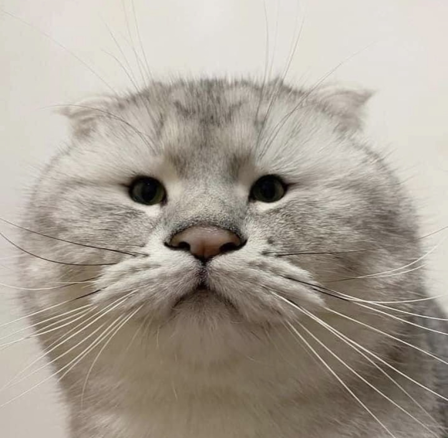 뀨유