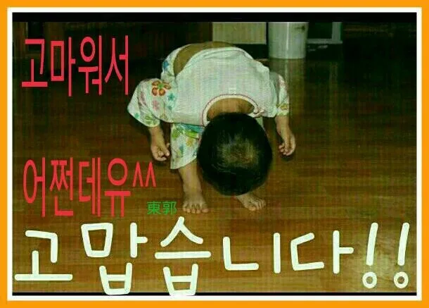 들꽃