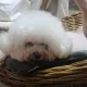명지쿨거래