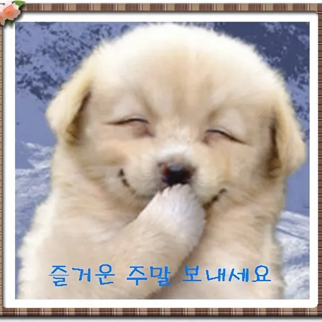 행복충전중