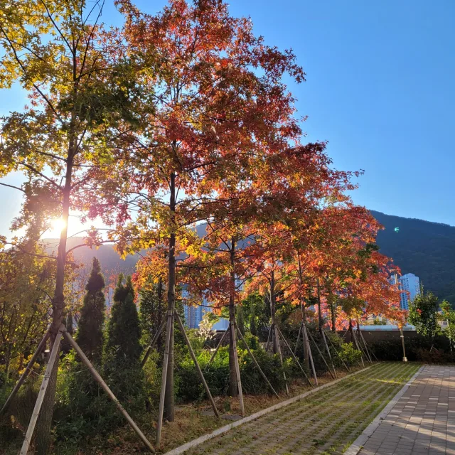 이슬