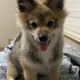 사닝