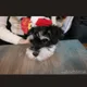 토토