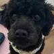 찌니