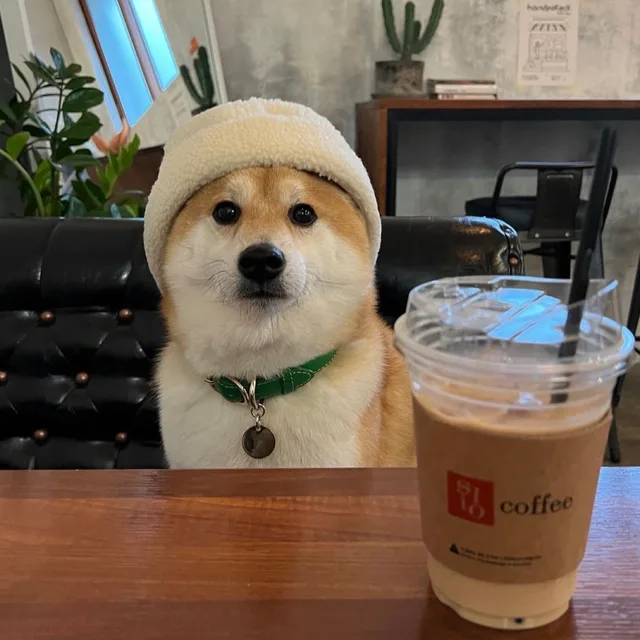 람쥐