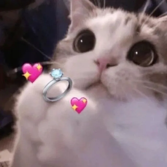 포유