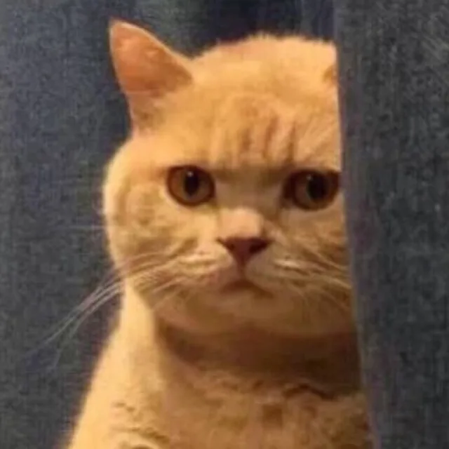블리스안