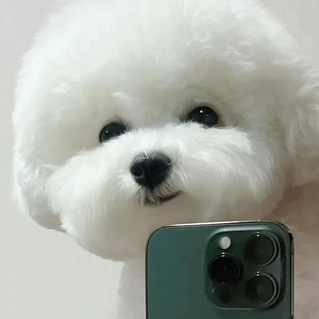 밍꼬꼬