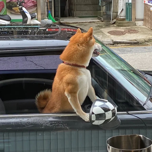 와르르