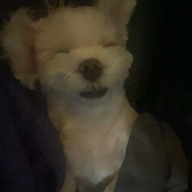 아롱이네