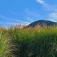 썬라이즈