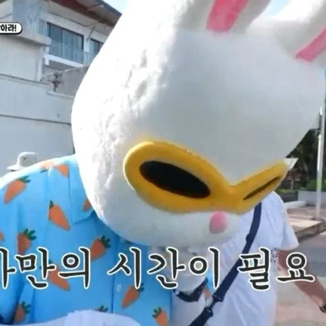 토롱이