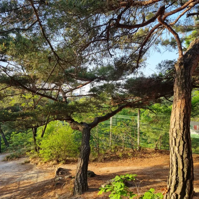 북극성