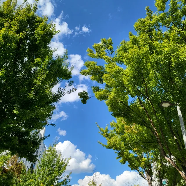 산지직송