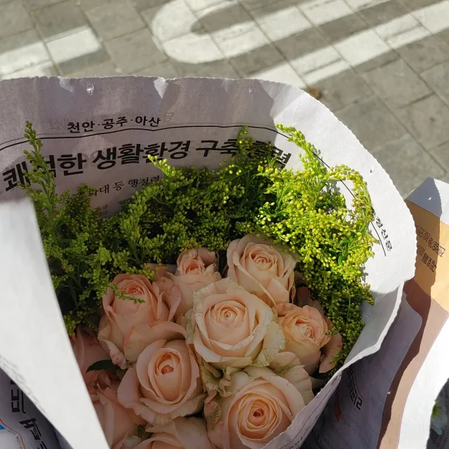 아기호랑이