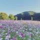 오창직거래