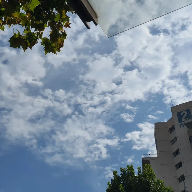 나는벨라