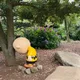 포코코