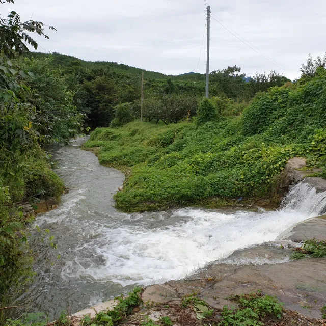 profile