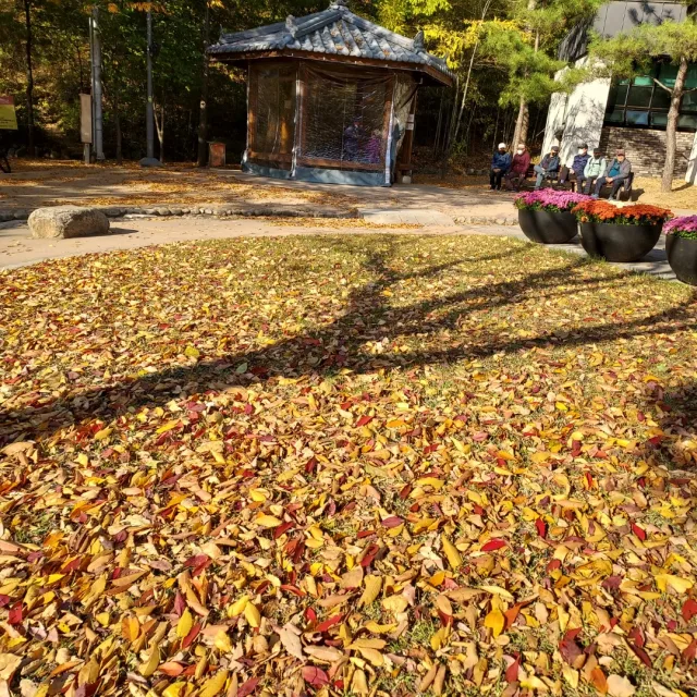 헤라