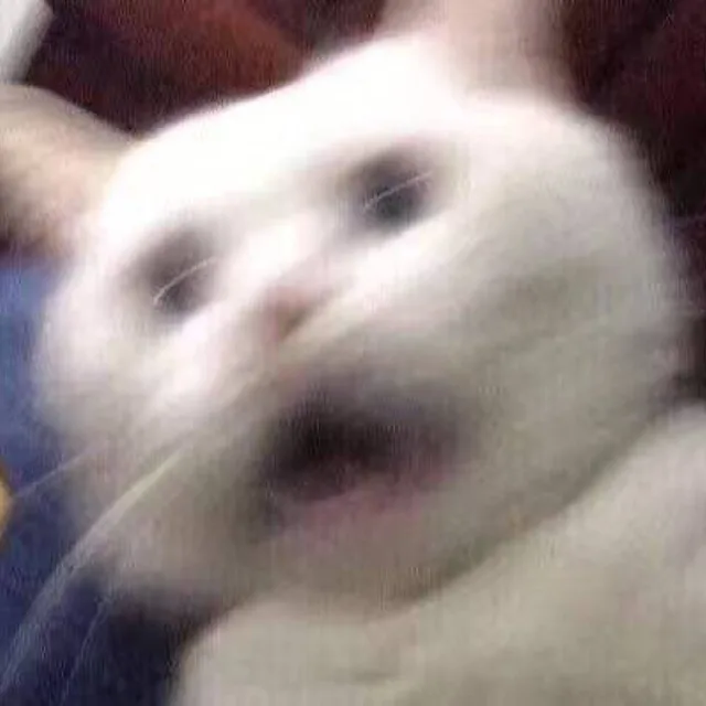 뤀히