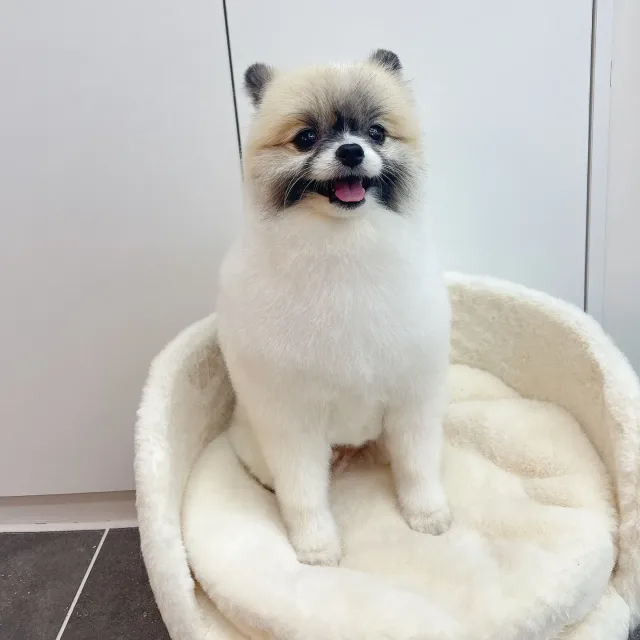 딸딸아덜아빠요