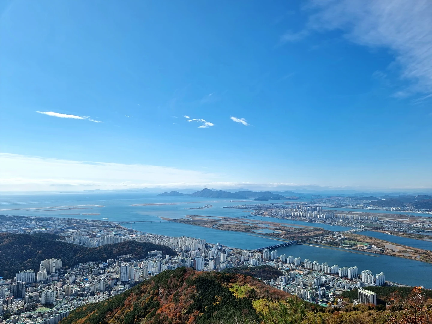 곰가족