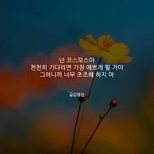 비호