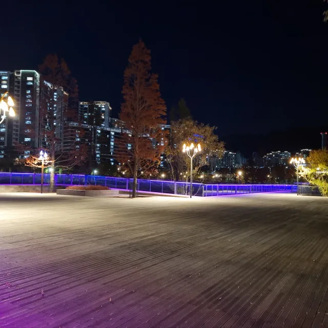 신용사회