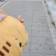 제제