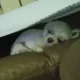 쥬쥬엄마