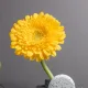 수선화