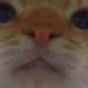 하하