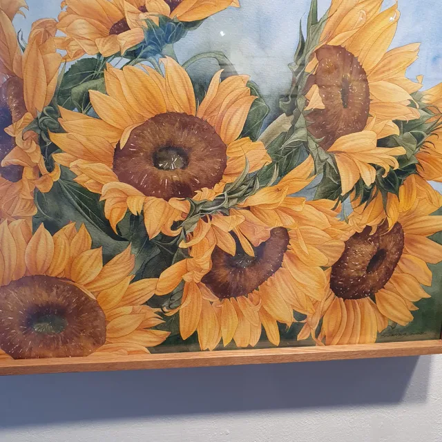 캔디캔디