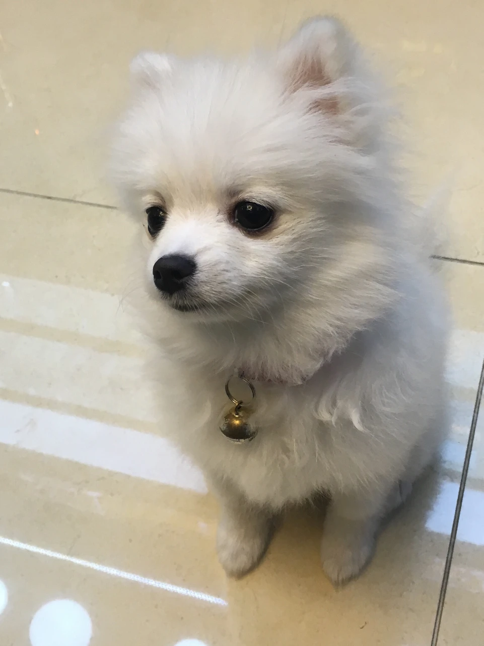 동네사람