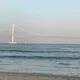 파란바다새