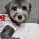 오렌지