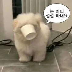 잇비