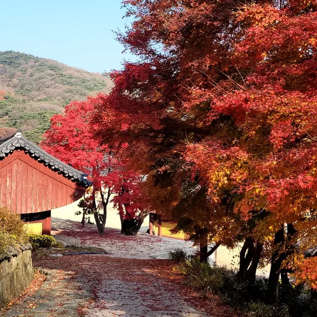 용이동아저씨